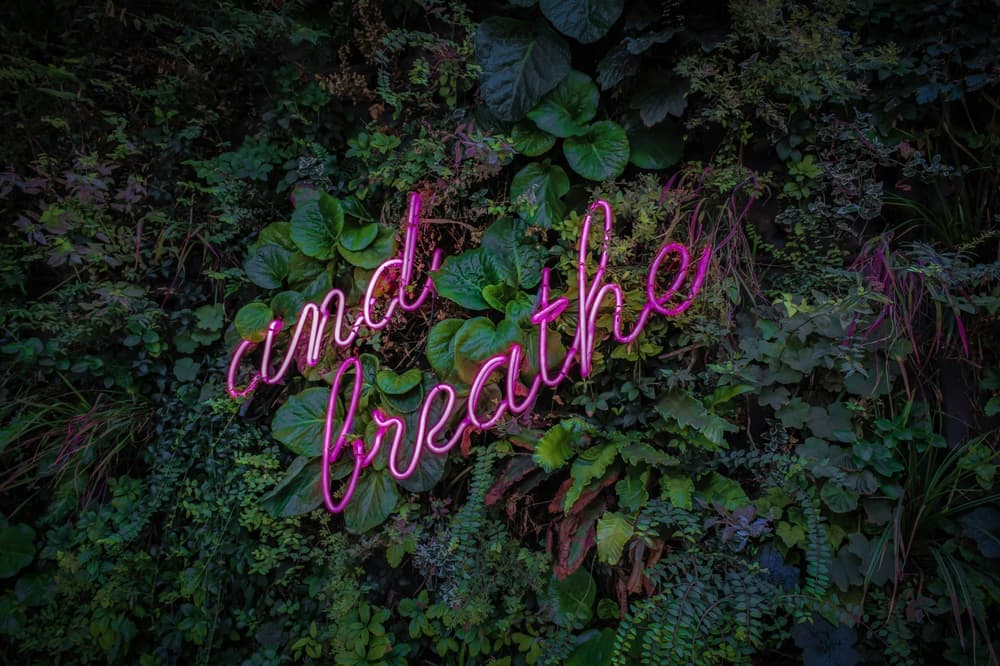 Victor Bi GS w9t7 FU unsplash