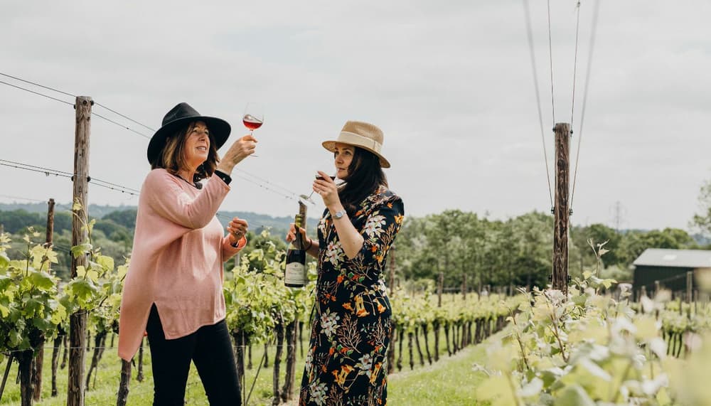 Vineyard tour