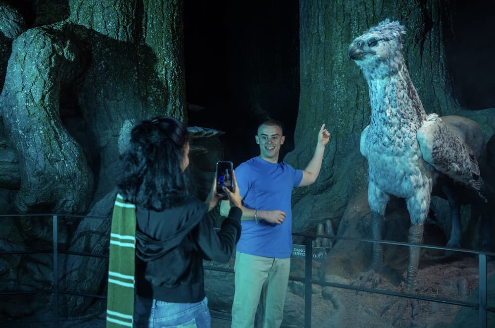 Walking around the forbidden forest at warner bros studio tour london