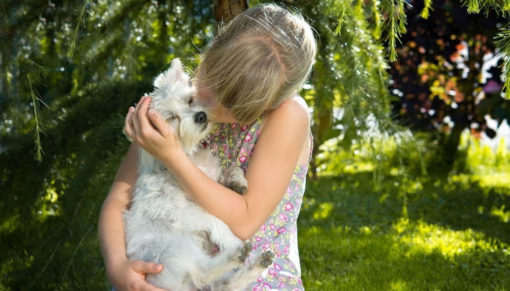 Young girl with puppy