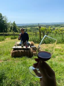 wine and cheese tour in somerset