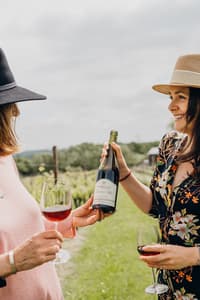 vineyard tour and wine tasting experience in sussex