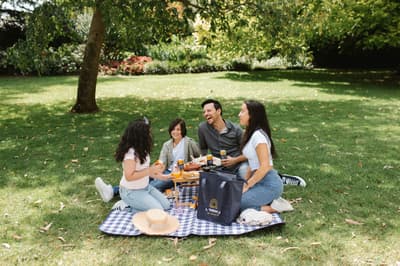mystery picnic day out