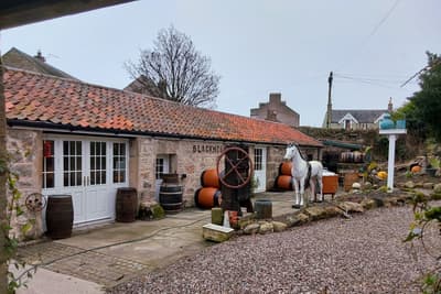 whisky and rum distillery tour at blackness bay distillery in scotland