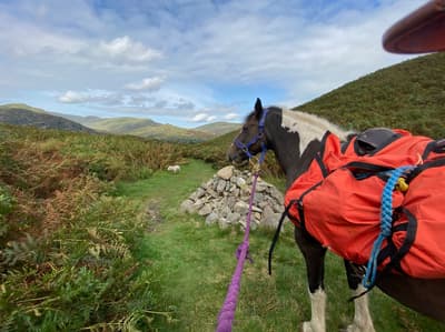 packhorse picnic and adventure experience day in the lake district
