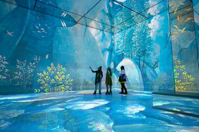 three visitors at the frameless immersive art exhibition in london