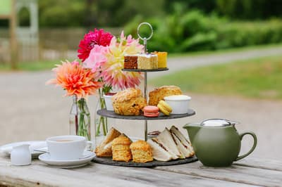 Canonteign Fall Afternoon Tea