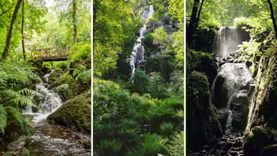 Canonteign Fall Waterfalls