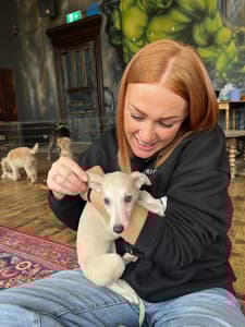 woman sitting on the floor with a small dog in her lap for a puppy therapy experience