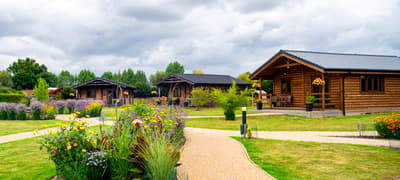 overnight lodge stay at the big cat sanctuary