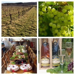 a four photo montage of a vineyard, grapes, wine bottles and dining table illustrating carr taylor gifts for couples
