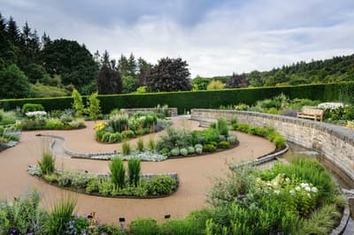 the cool garden at rhs rosemoor in devon with planting separated by gravel paths