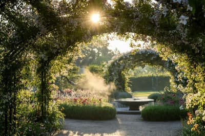the gardens at rhs wisley in full bloom on a summers day