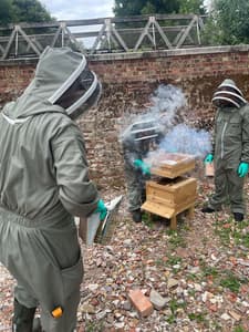 three people inspecting a beehive on a beekeeping experience at fort amherst for two