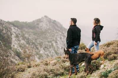 Couple in nature with dog