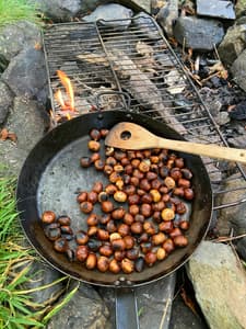 forage and feast experience in the lake district