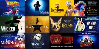 choice of london west end theatre show