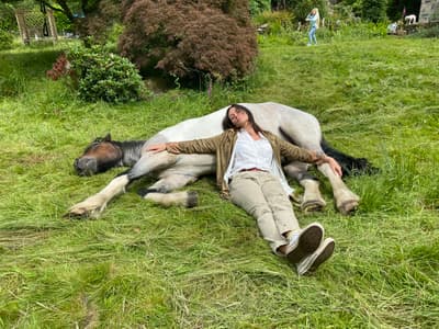 meditation with horses in the lake district