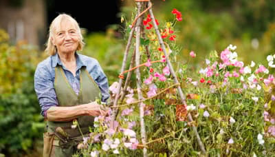 Swinton dame susan