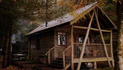 Tree lodge