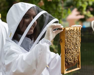 Beekeeping London