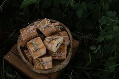 Wild food