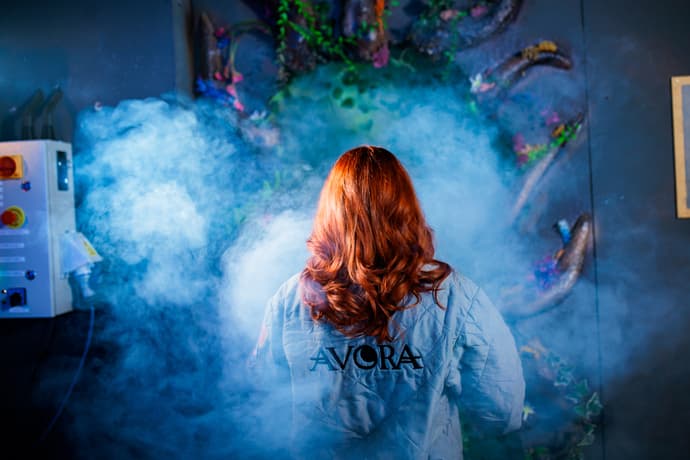 Avora2024 PR 1304