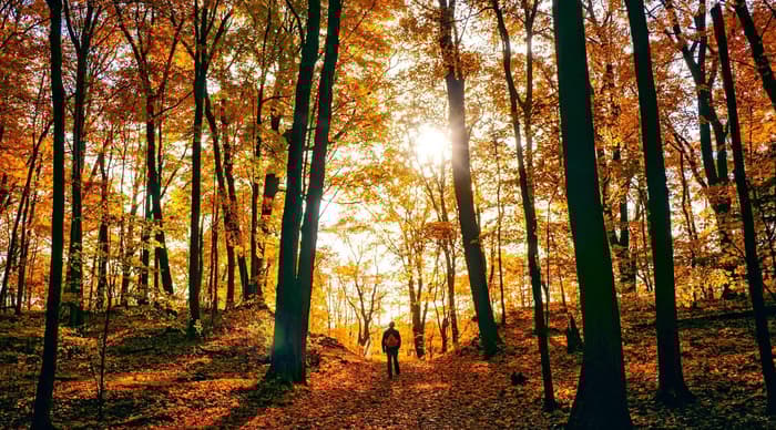 Autumn getaway
