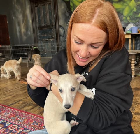 Pooch therapy