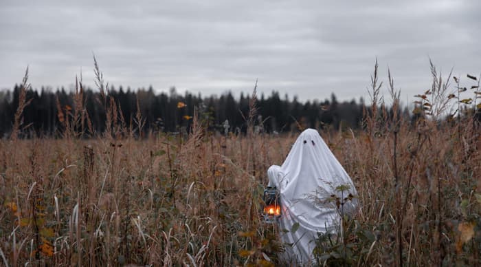 Spooky activities