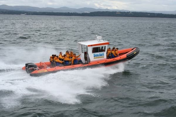 passengers on a south queensferry boat trip with seafari adventures