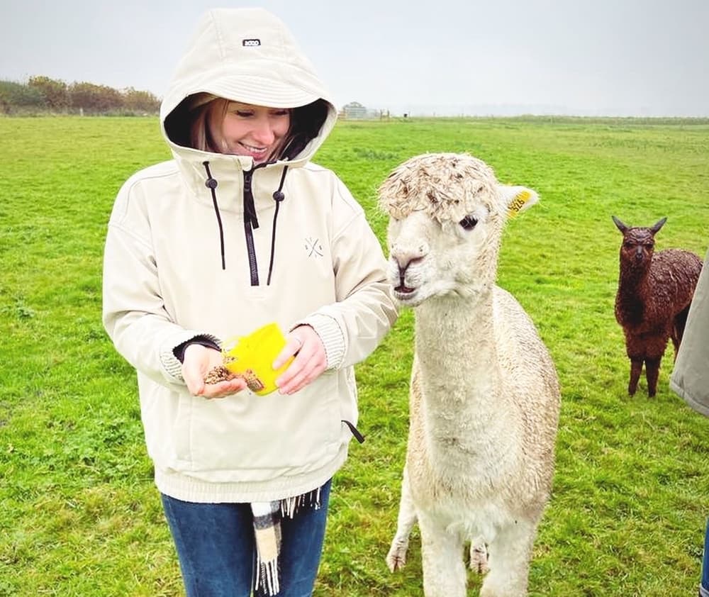 alpaca experience