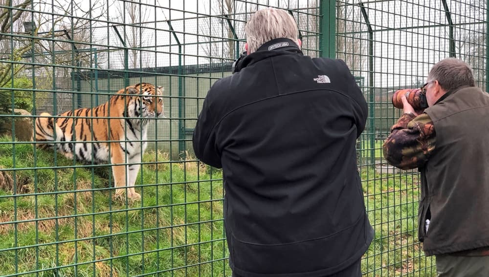 photography workshop at the big cat sanctuary