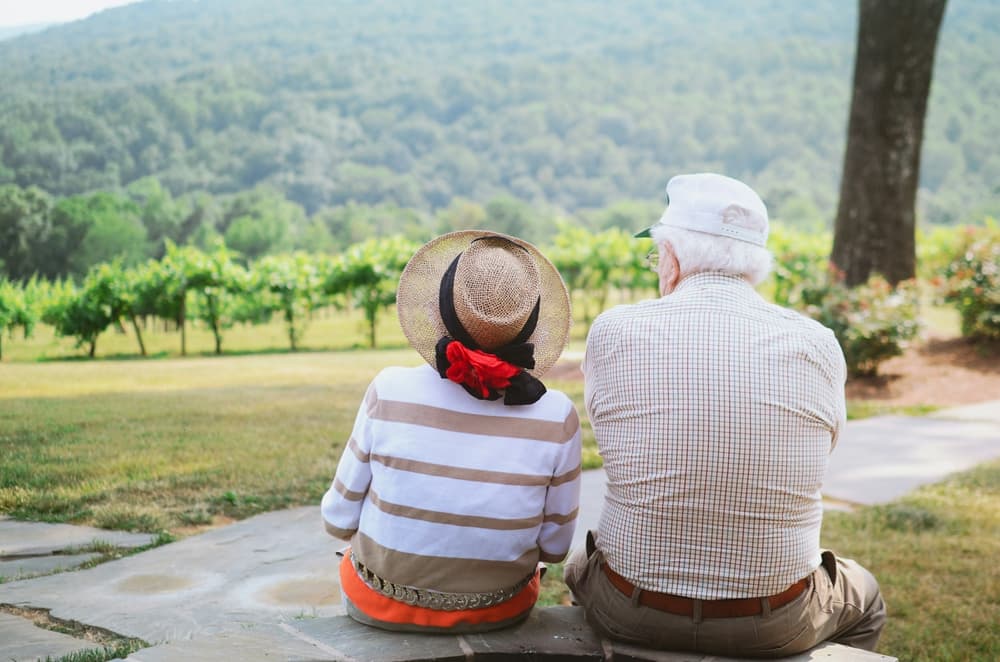 elderly man and woman looking out across a field of trees
