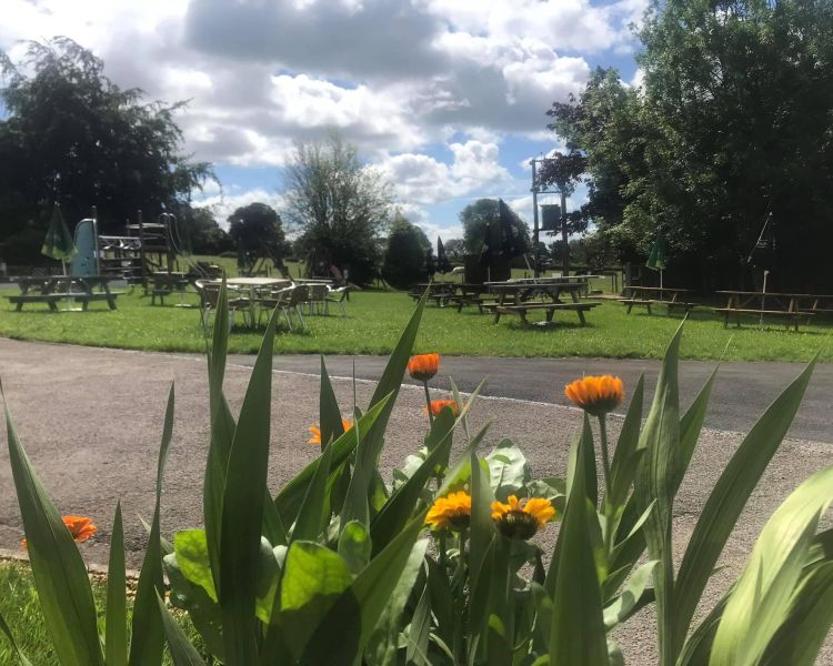 Beer garden with picnic tables