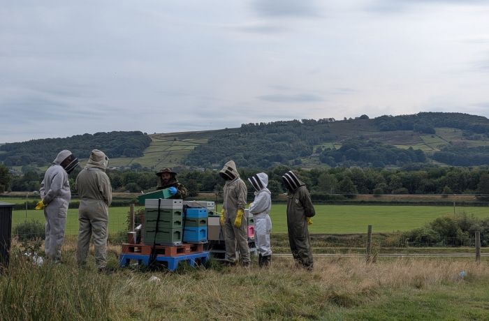 people on a beekeeping experience in yorkshire