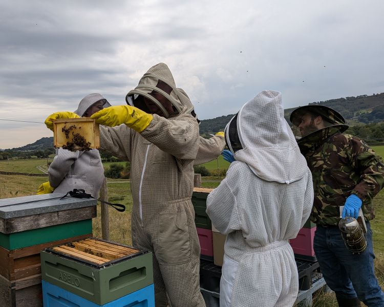 group inspecting hives on a beekeeping experience in yorkshire