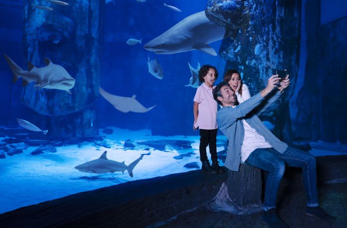 taking selfie infront of shark tank at sea life London