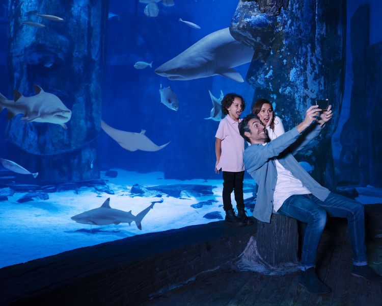 taking selfie infront of shark tank at sea life London
