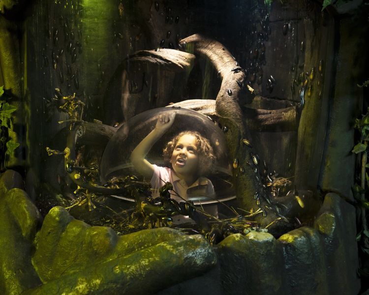 girl looking through dome at rainforest enclosure at sea life london