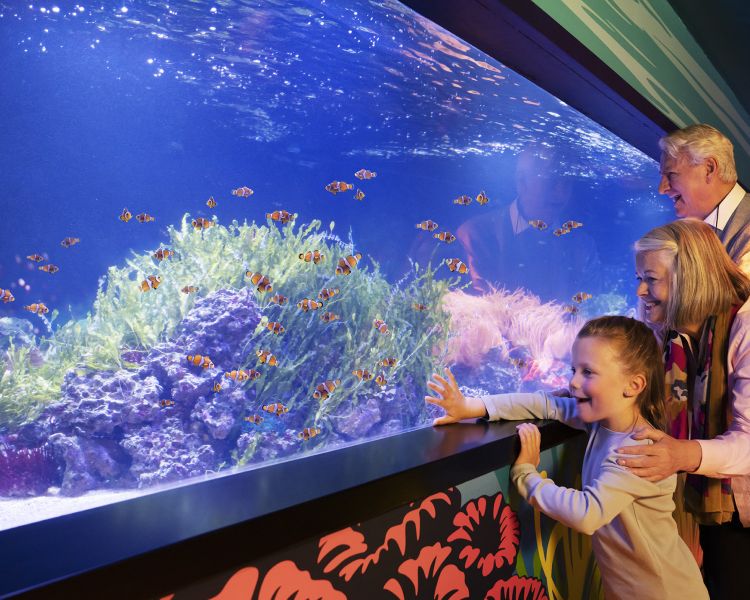 grandparents with granddaughter at sea life london