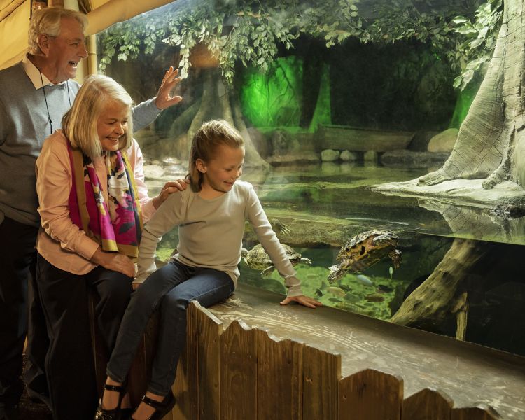 grandparents with granddaughter at sea life london
