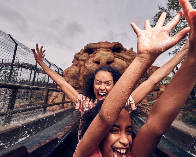 Tiger Rock ride at Chessington world of adventures