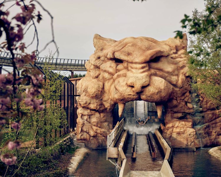 Tiger Rock ride at Chessington world of adventures