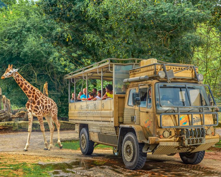 ZUFARI Ride at Chessington world of adventures