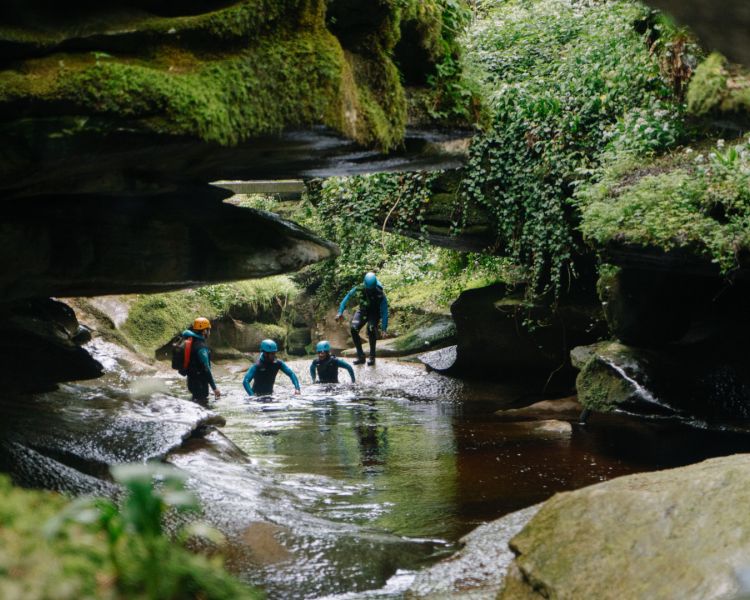 Participants gorge walking