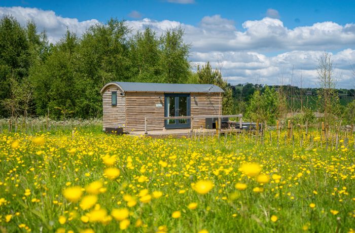 Exterior view shepherd hut and surrounding fields