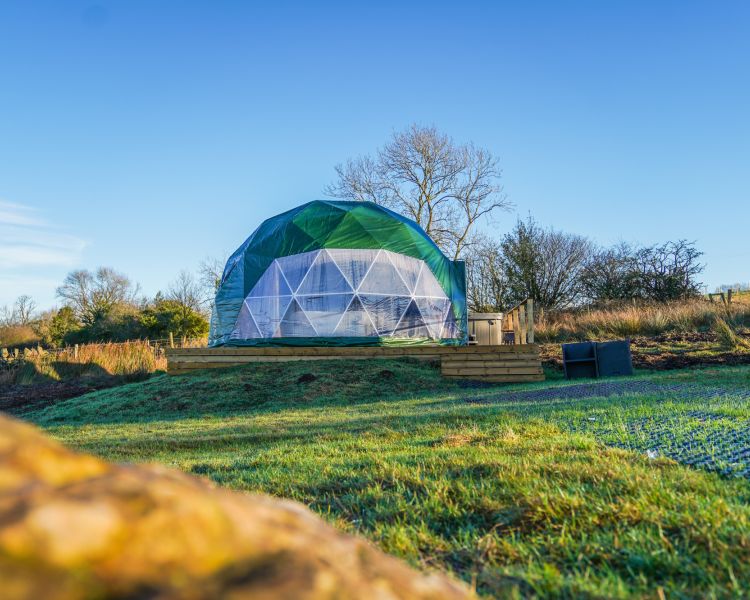 Geodome exterior and surroundings