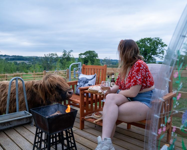 A lady and highland cow by a fire pit on the sunset pizzas experience