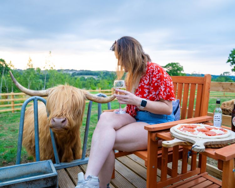 A lady sat with0wine by a highland cow sunset pizzas experience